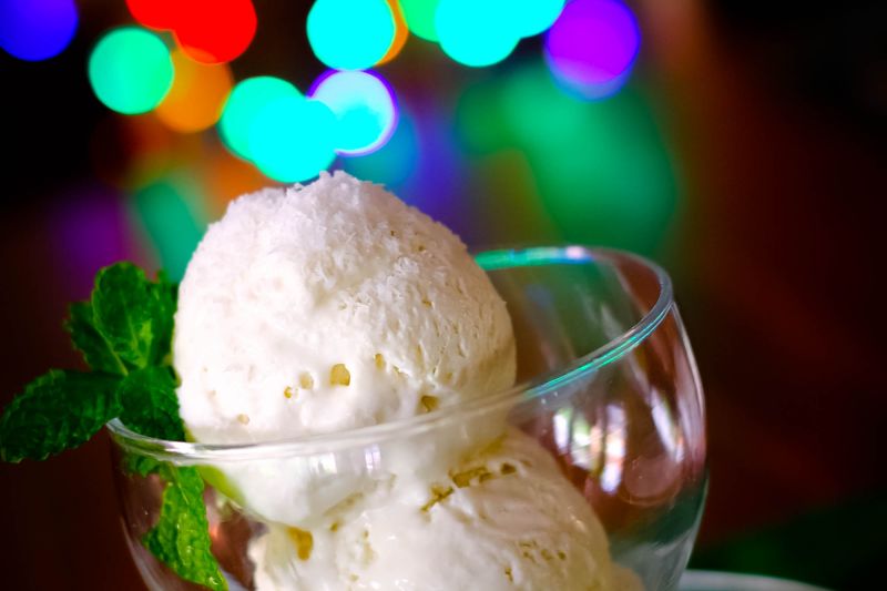 Home Made Coconut Ice Cream